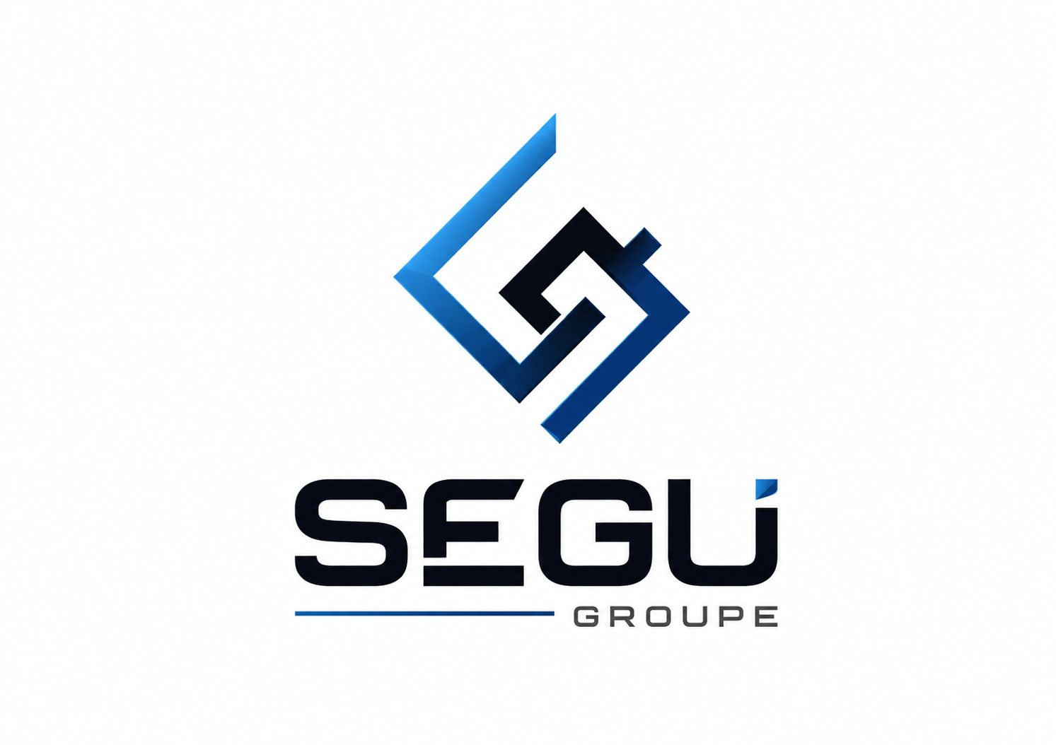 SEGUI GROUP